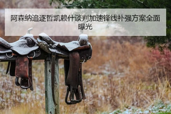 阿森纳追逐哲凯赖什谈判加速锋线补强方案全面曝光